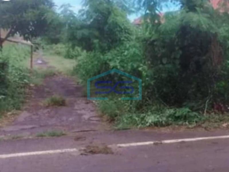 Super Strategic Negotiable Land for Sale Ideal for Business in Canggu Bali