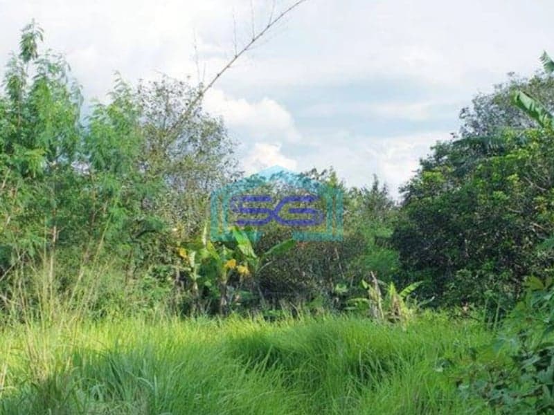 Dijual Tanah di Desa Curug Bogor SHM Luas 7090m² Cocok Untuk Gudang atau Pabrik