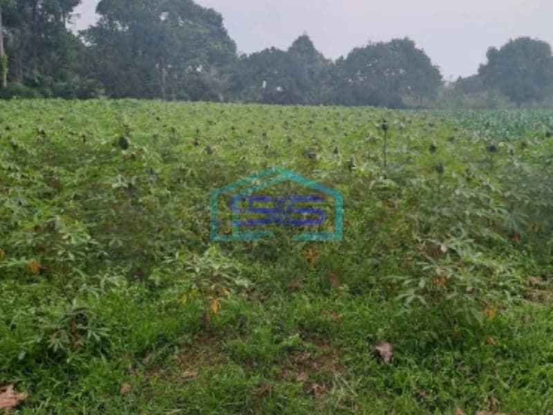 Dijual Tanah Di Kemang Bogor Luas Tanah 12000m2