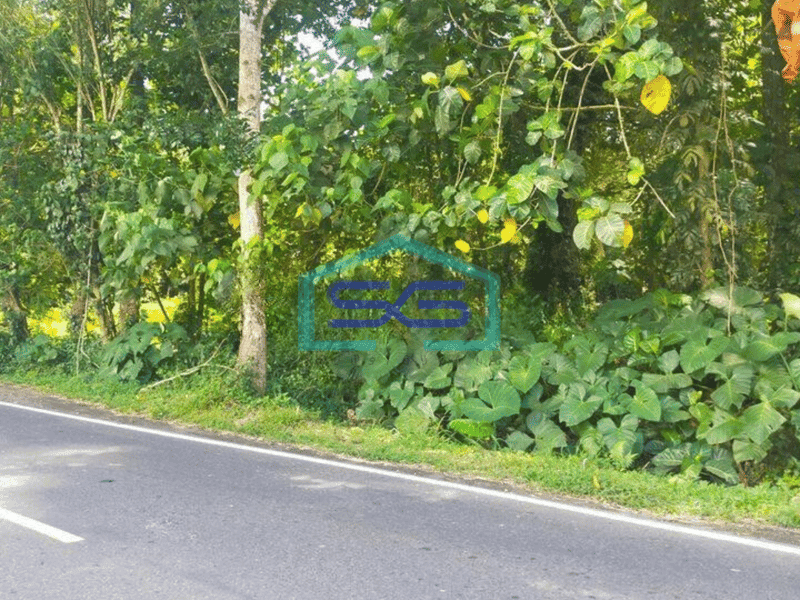 Dijual Tanah 10h di jl raya Manado Bitung cocok buat gudang