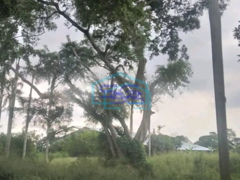 Dijual Tanah Luas 17000 m²  Lokasi Strategis di Pamulang Tangerang Selatan