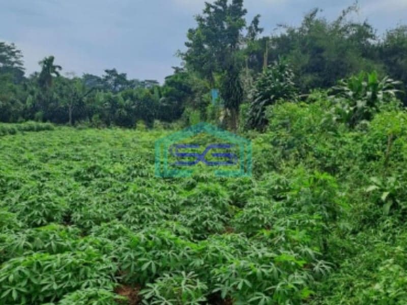 Dijual Tanah di Area Mekarsari Rumpin Bogor Luas 1000m2 SHM