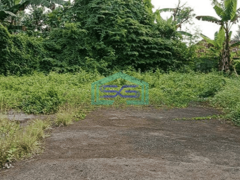 Dijual gudang luas bagus di Jl Raya Curug Tangerang