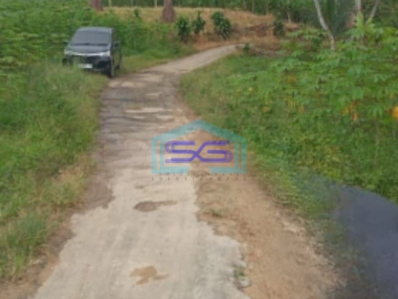 Dijual Tanah Lokasi di Cikembar Sukabumi Lahan Bagus LT 50000m2