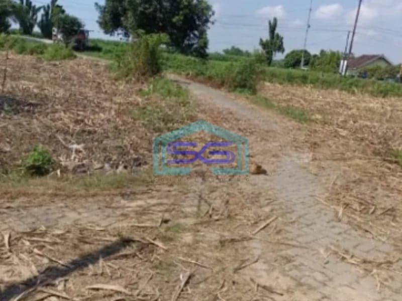 Dijual Tanah LT 270000m2 SHM Krembung Ngoro Mojokerto