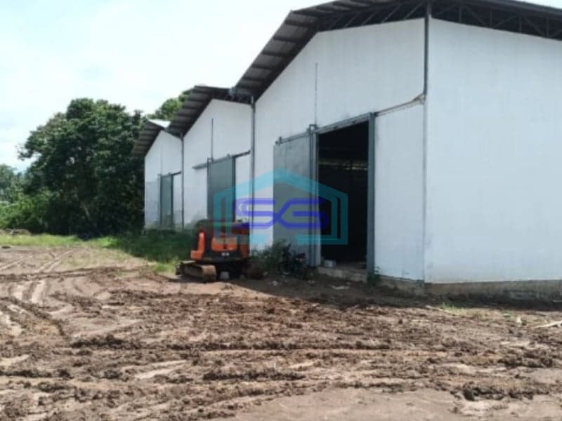 Disewakan Gudang di Kairagi Kota Manado Buat Ekspedisi Distributor Mapanget, Manado Luas Bangunan  576 m²