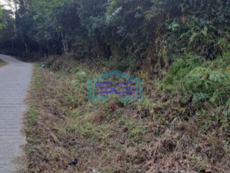 Dijual Tanah Suka Yaya Jonggol Bogor Luas Tanah 170000m2