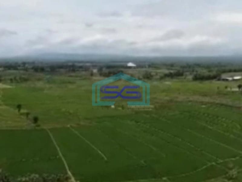 Dijual Tanah Zona Industri Lokasi Grobogan Jawa Tengah Luas 200 Hektar