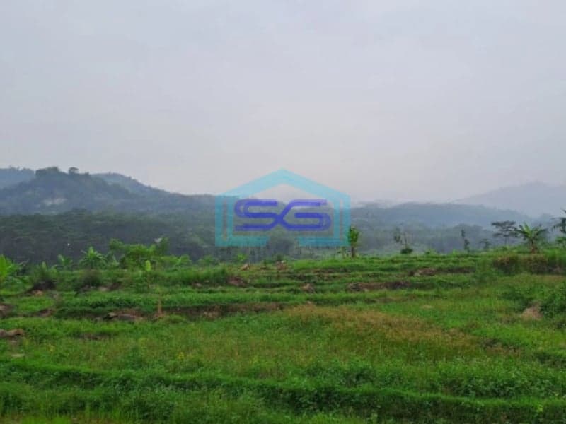 Dijual Tanah Jaya Sukamakmur Jonggol Bogor Luas Tanah 50 Hektar