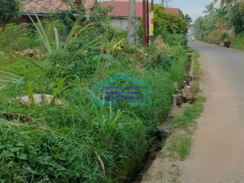 Dijual Tanah siap Bangun di Jalan Kantor Lurah Sukomoro Talang Kelapa Banyuasin Sumatera Selatan LT 2000m2