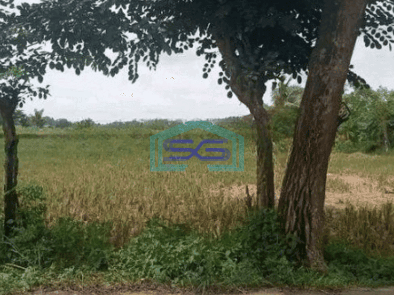 Dijual Tanah Luas 2850 m² Lokasi Pinggir Jalan Pasar Kemis Tangerang