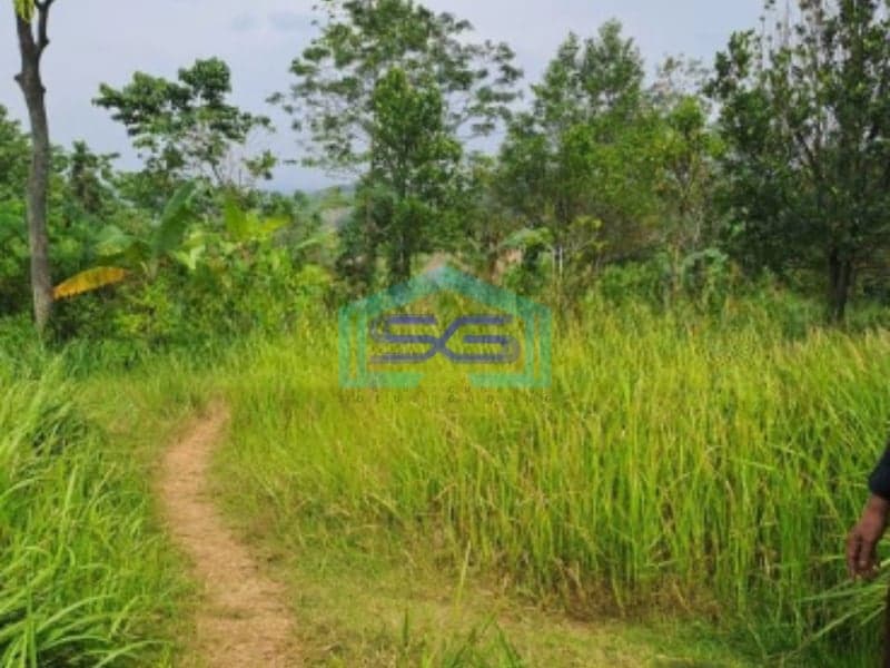Dijual Tanah Datar Sangat Bagus di Desa Karya Mekar Cariu Bogor LT 18000m2
