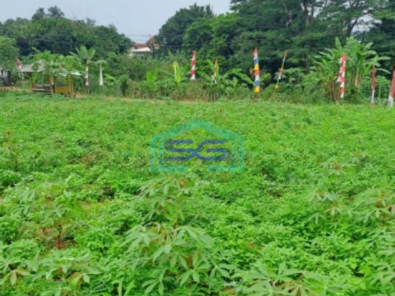 Dijual Tanah Di Kemang Bogor Luas Tanah 2000m2