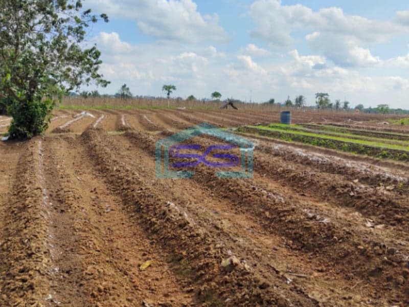 Dijual Tanah Jl. Hm Noerdin Pandji Kec Sako Kota Palembang Luas 21270m2