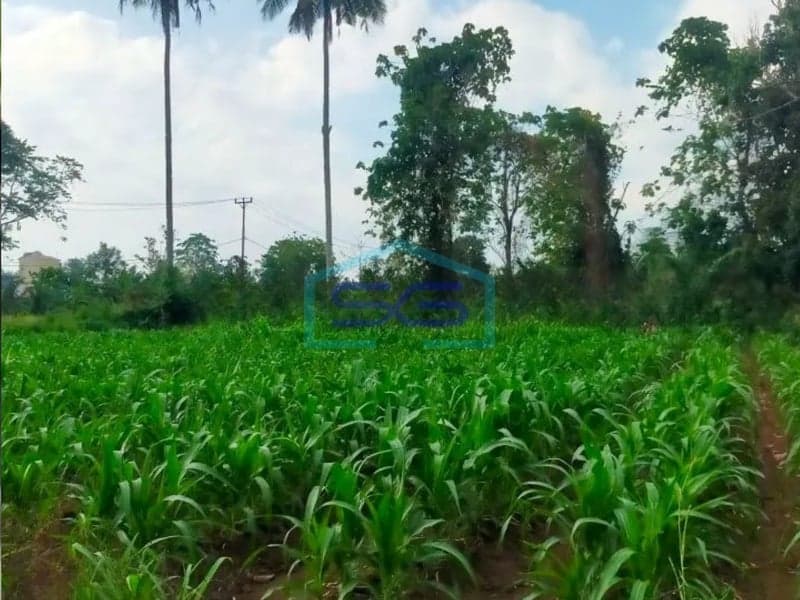 Dijual Tanah 936m2 Mapanget, Manado Sulawesi Utara
