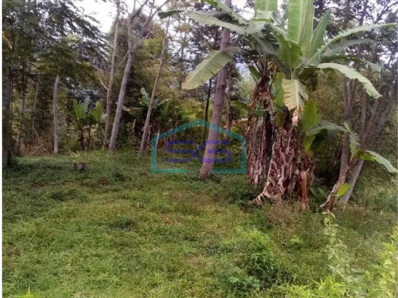 Dijual Tanah Cibodas Ciwidey Bandung Jawa Barat Luas Tanah 20000 m²