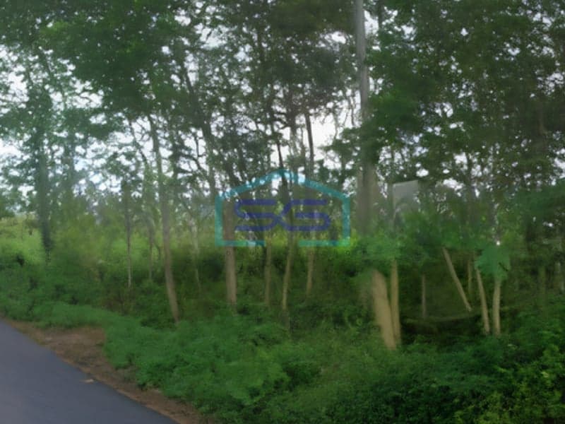 Land for Sale on Main Road in Kudus Central Java Land Area 12000 sqm
