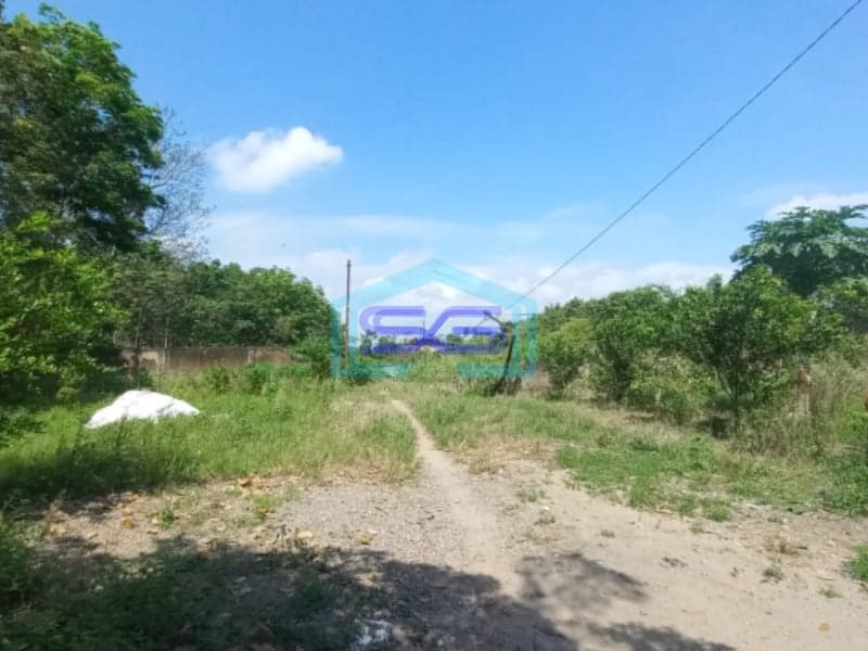 Dijual Tanah Jalan Lintas Palembang Indralaya Strategis Luas 4680m2 Sumatera Selatan