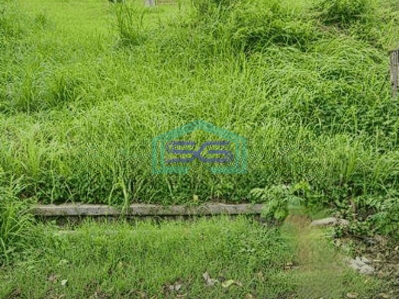 Disewakan Tanah Luas di Kediri Cocok Untuk Dibangun Gudang Lokasi Strategis