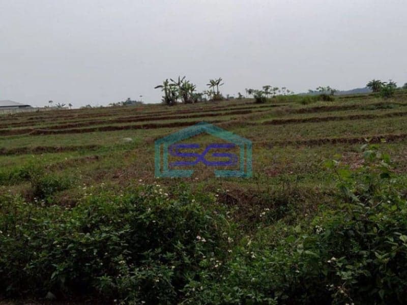 Dijual Tanah di Desa Cileles kecamatan Tigaraksa Tangerang Luas 70 Hektar