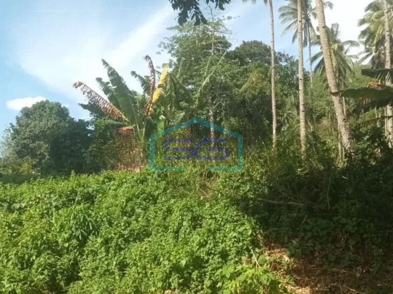 Dijual Tanah Minahasa Utara Sulawesi Utara Cocok Buat Distributor Luas Tanah 16500 m²