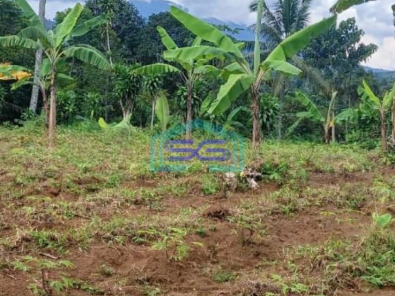 Dijual Tanah Parakan Salak Sukabumi Luas Tanah 4750m2