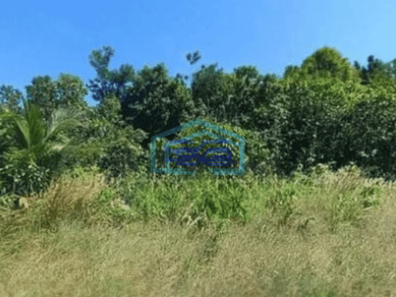 Dijual Tanah di Maratua Kalimantan Timur Luas 18409m²