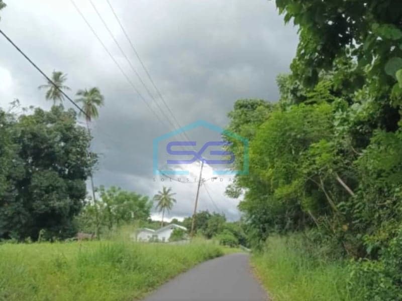 Dijual Tanah Dekat Kawasan Ekonomi Bitung di Watudambo, Minahasa Utara LT 70000 m²