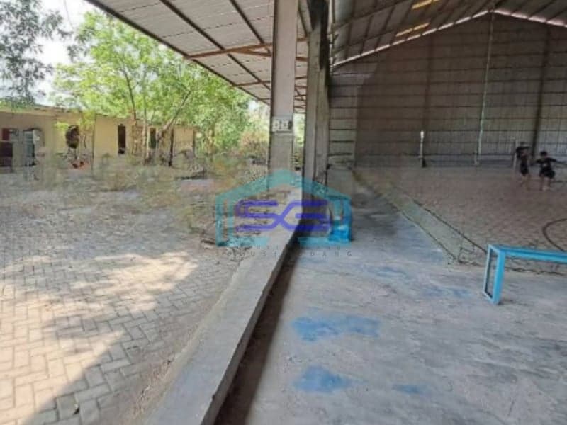 Dijual Tanah Luas  4991 m² Lokasi Bebas Banjir di Kapas Bojonegoro