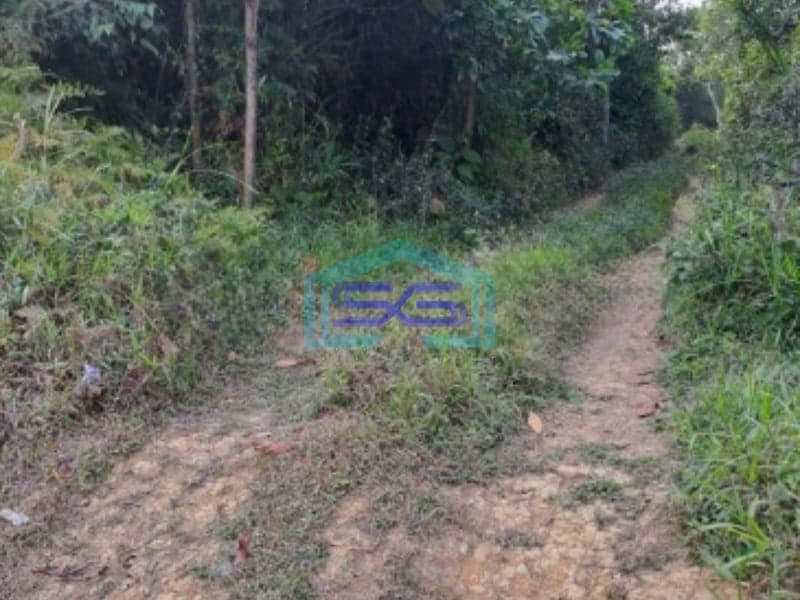 Dijual Tanah Sukajaya Jonggol Bogor Luas Tanah 170000m2