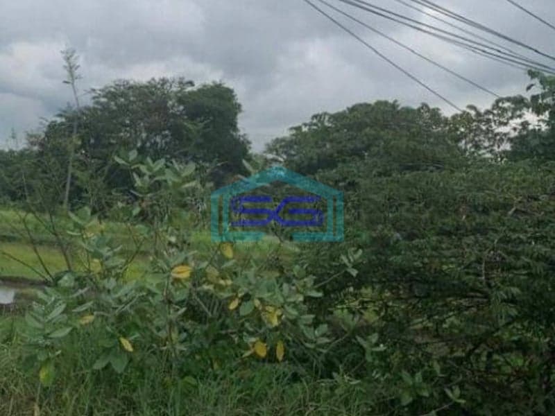 Dijual Cepat Tanah Zona Industri Lokasi Ceper Klaten Luas 10 Ha