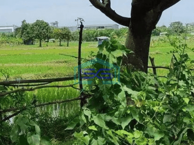 Dijual Tanah Kosong di Cikande Serang, Kawasan Industri Luas 30 Ha