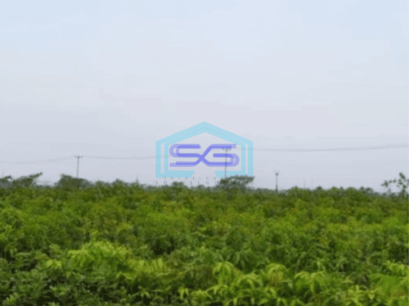 Dijual Tanah di Karawang Timur Luas Tanah 6000 m²