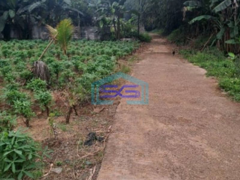 Dijual Tanah Di Daerah Ciseeng Bogor Bebas Banjir LT 1009m2