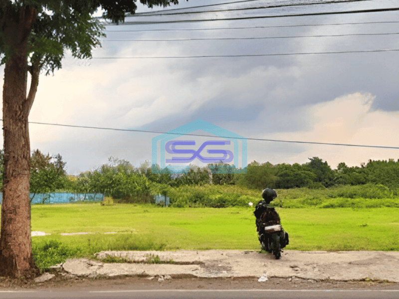 Dijual Tanah di Jl Labuan Panimbang Pandeglang 10000