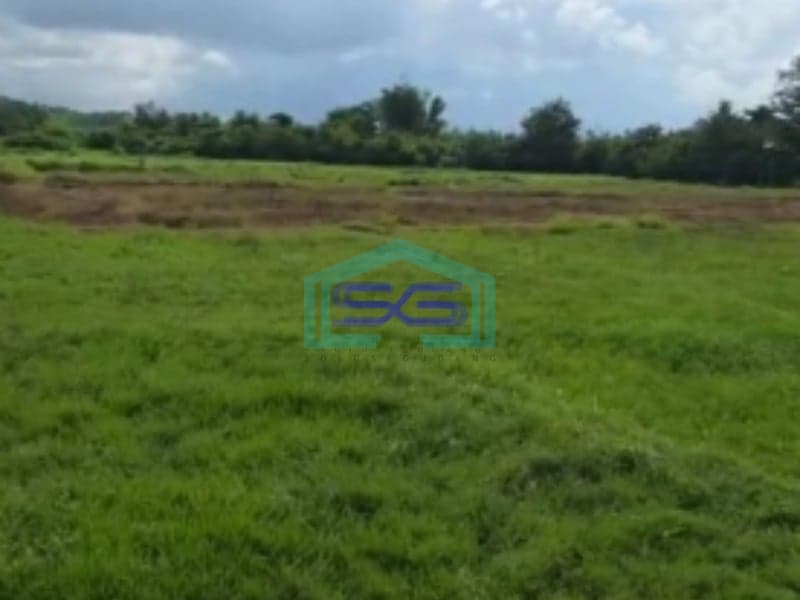Dijual Tanah Bebas Banjir Luas Tanah 1570m2 di Daerah Gianyar Bali