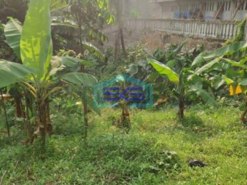 Dijual Tanah Desa Pabuaran Perbatasan Citereup Sukamakmur Bogor LT 10000m2