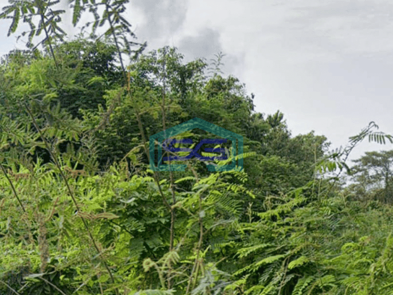 Dijual Tanah Strategis Siap Bangun di Pinggir Jalan Raya Lingkis Rambutan, Jejawi Sumatera Selatan Luas 20000m2
