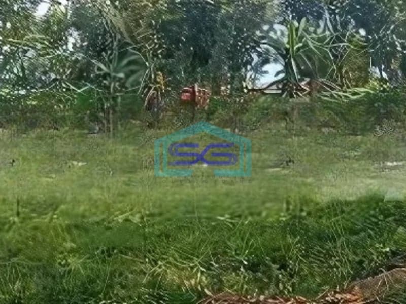 Dijual Tanah Dengan Zona Industri di Gayaman Sragen LT 100000m2