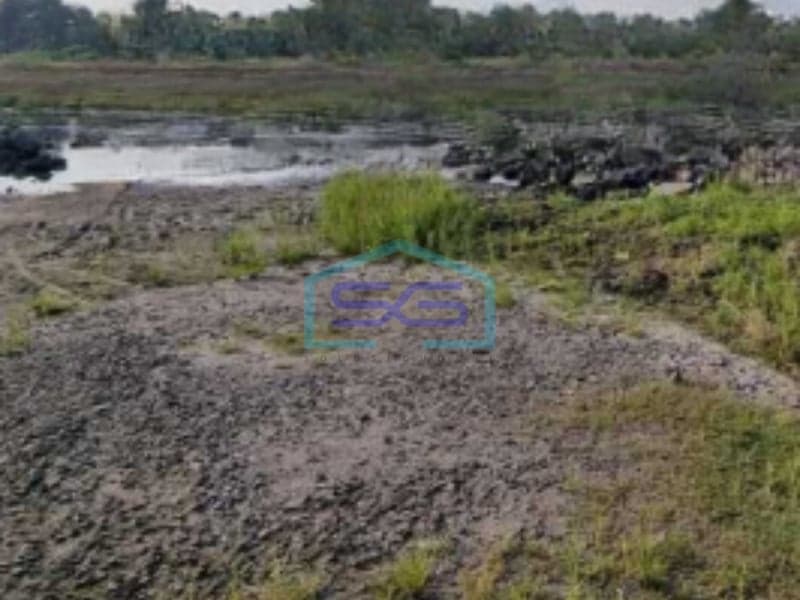 出售：万丹省西浪市奇坎德占地50000平方米的地块
