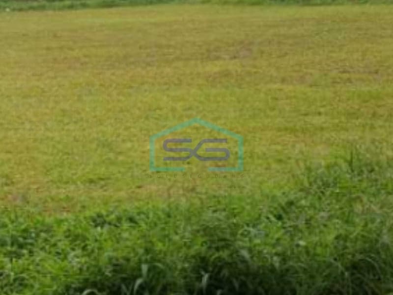 Land for Sale on Roadside in Gunung Sindur Bogor West Java