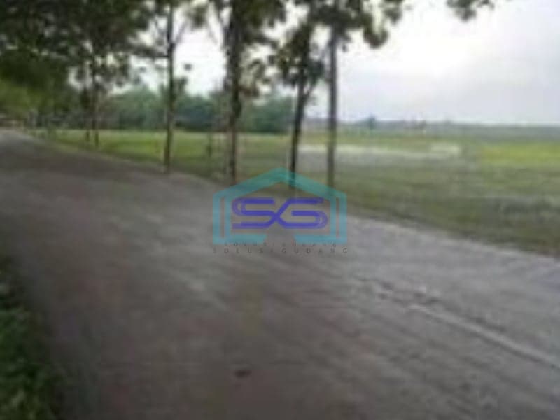 Dijual Tanah Dalam Zona Industri Luas 25ha Di Daerah Kebonromo sambungmacan sragen