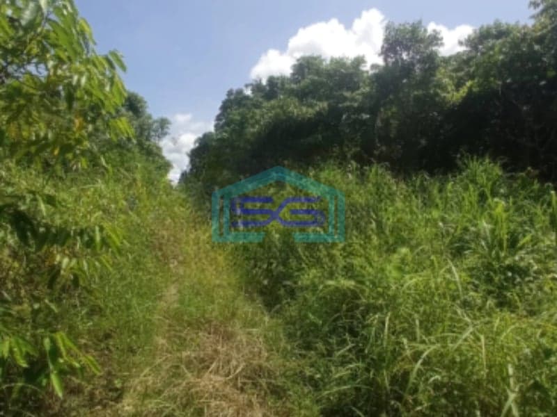 Dijual Tanah di Desa Asyaman Keerom Papua Luas Tanah 10.000m²