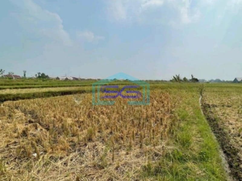 Dijual Tanah Lokasi Mojosari Mojokerto Jawa Timur Harga Nego Luas 20000m2