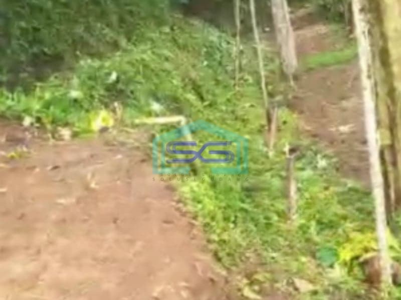 Dijual Tanah Di Caringin Bogor Dekat Exit Tol Caringin Luas Tanah 14500m2