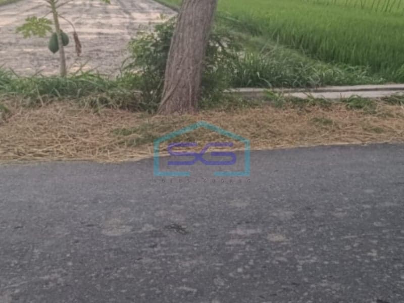 Dijual Tanah SHM Luas 3 Hektar, Taji, Prambanan, Klaten, Jawa Tengah