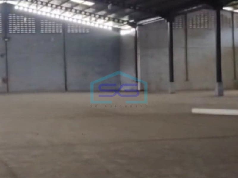Disewakan Gudang Luas Tanah 9797 m² Bebas Banjir di Rangkasbitung Lebak Banten