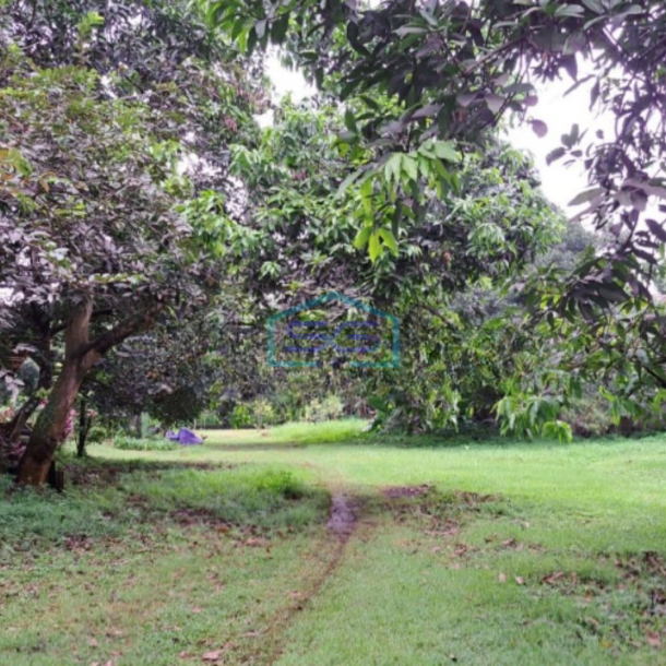Dijual Tanah Komersial Strategis Di Cibubur, Bogor Luas Tanah 5138 m²-1