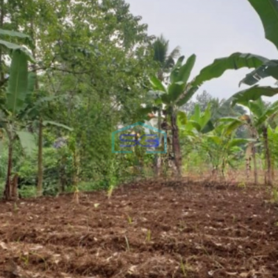 Dijual Kavling keluarga di Banjarsari Bogor, Lingkungan aman dan nyaman Luas Tanah 2023 m²