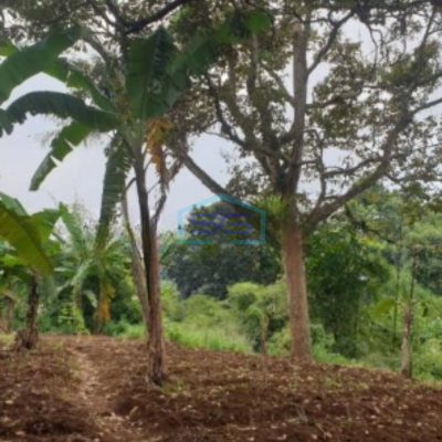 Dijual Kavling keluarga di Banjarsari Bogor, Lingkungan aman dan nyaman Luas Tanah 2023 m²